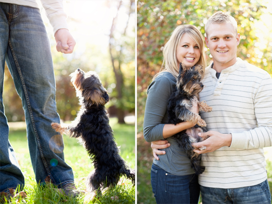 Engagement Pictures Including Dog