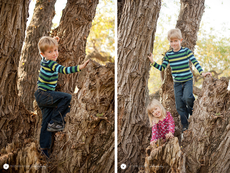 Photographs of Siblings in Tree