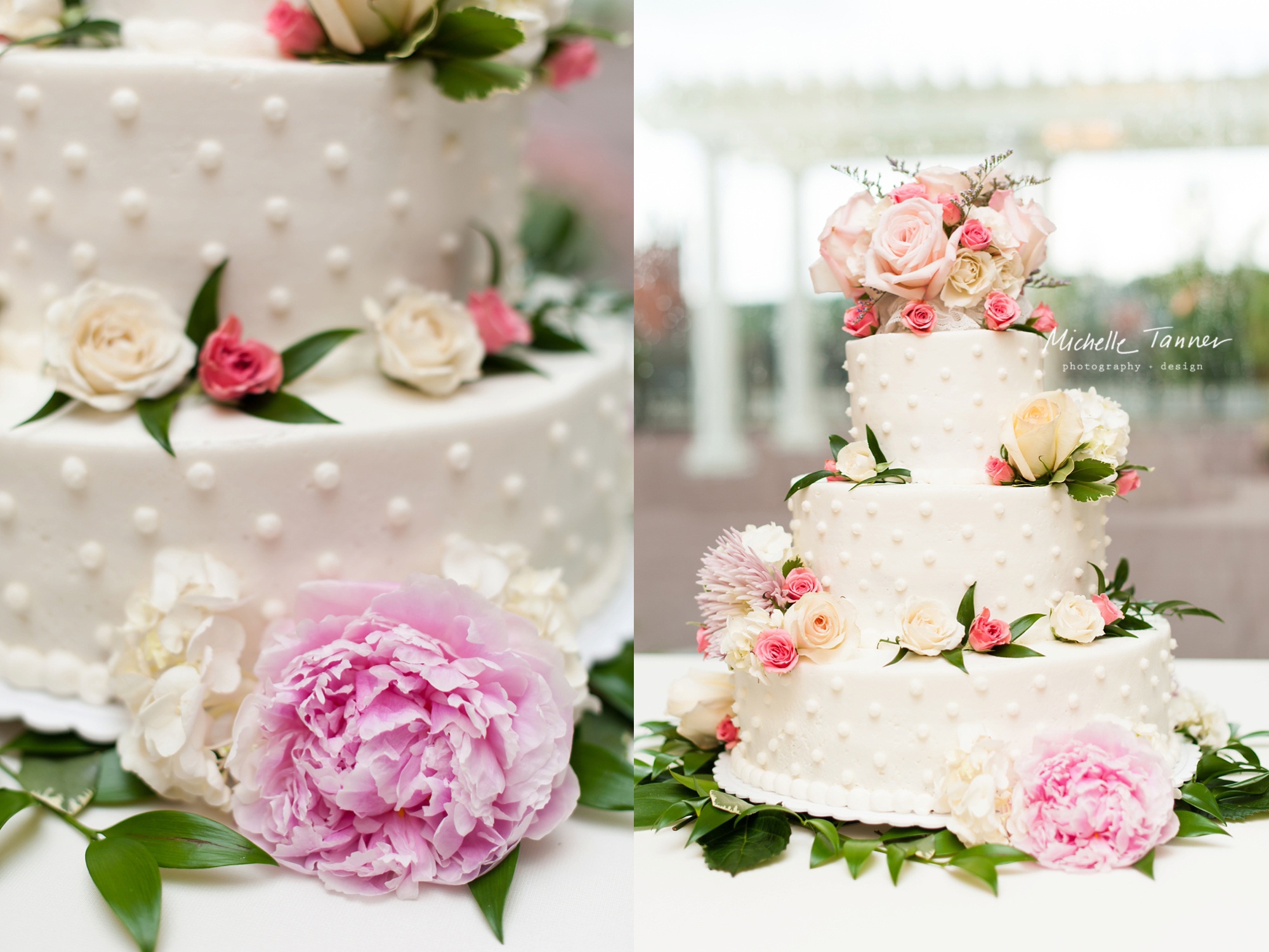 Wedding Cake Photographer Minneapolis